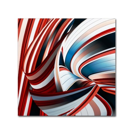 Gilbert Claes 'Passione Annodata' Canvas Art,24x24